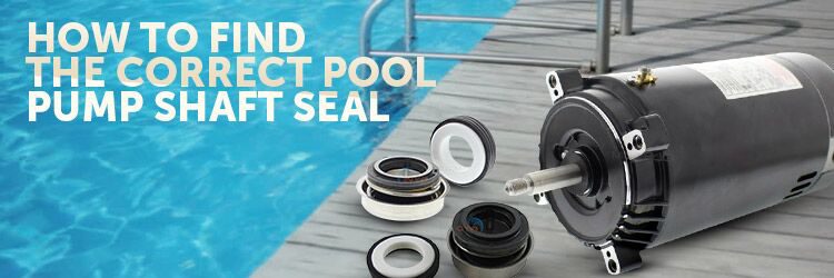 how-to-replace-a-swimming-pool-pump-seal-pools-point