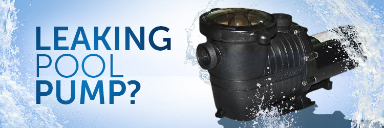 Seeing Water Squirting Out From Your Pool Pump Lid? Don't Overtighten It!