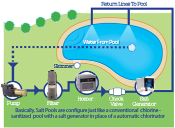 The Journey of Swimming Pool Water – INYOPools.com – DIY Resources